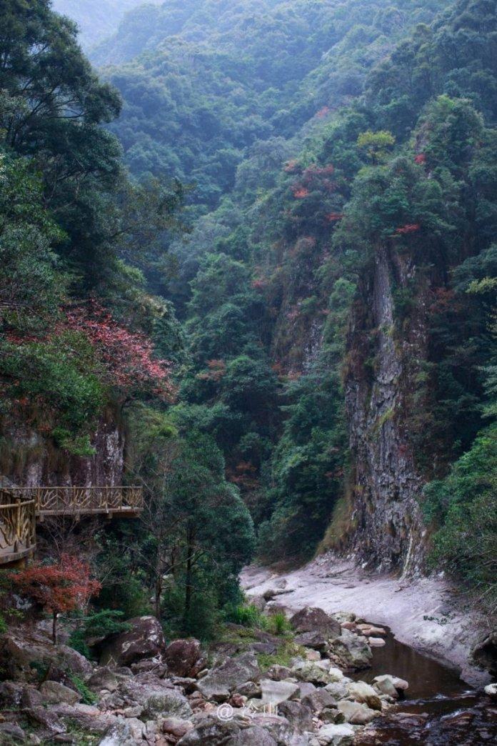 了解为什么小鲨鱼在出生前,会在子宫内吞噬自己的兄弟姐妹?知识星球,深入探索精彩世界